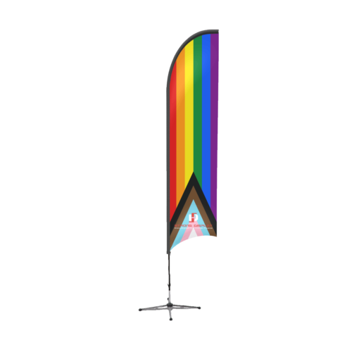 Daniel Quasar Progress Pride Feather Flag