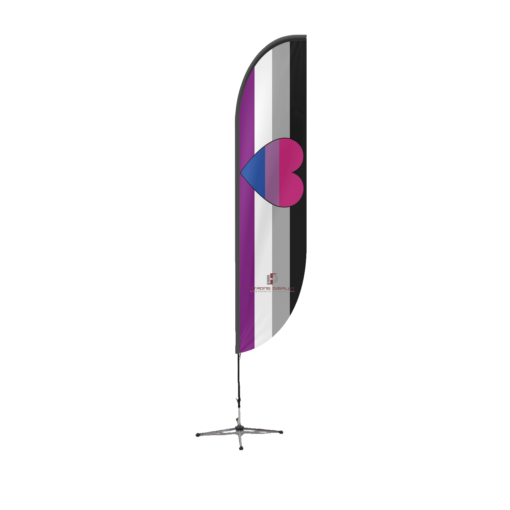 Biromantic Asexual Feather Flag